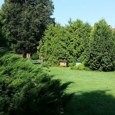 Kwiatowa Zagroda Białowieża Eksteriør billede