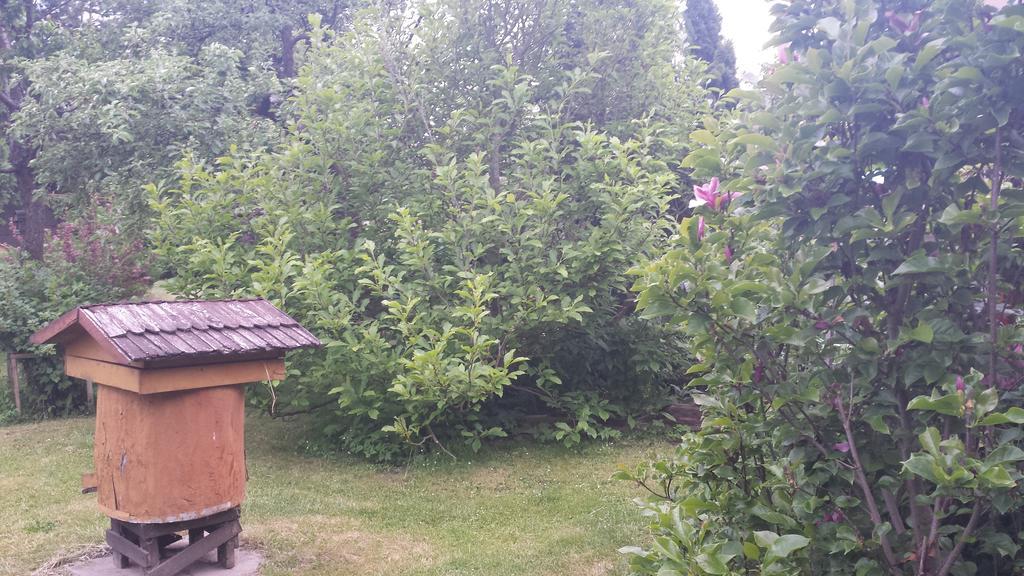 Kwiatowa Zagroda Białowieża Eksteriør billede