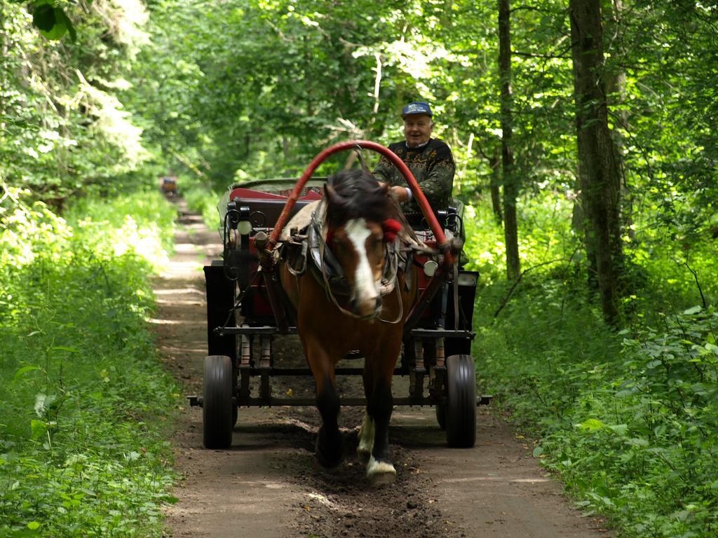 Kwiatowa Zagroda Białowieża Eksteriør billede
